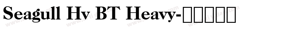 Seagull Hv BT Heavy字体转换